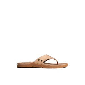 Santa Cruz II Thong Sandal